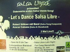 Let s Dance Salsa Libre Bierstindl-20091